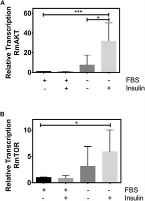 TOR as a Regulatory Target in Rhipicephalus microplus Embryogenesis